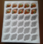 珍珠棉的抗化学性能